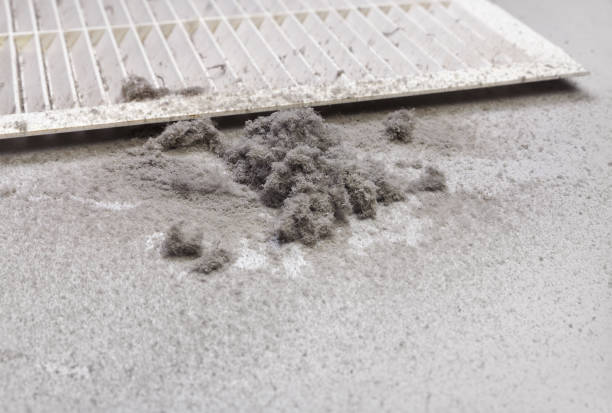 Best Best Air Duct Cleaning Company  in Bemiss, GA